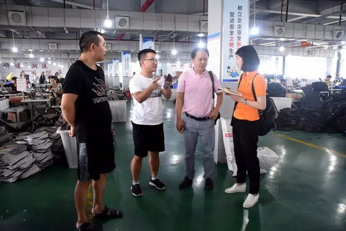 江蘇臺攝制組聚焦大龍，專題片攝制展現獨特風采